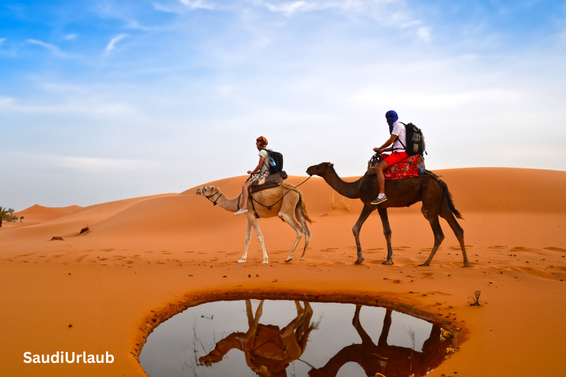 saudi arabien urlaub erfahrung